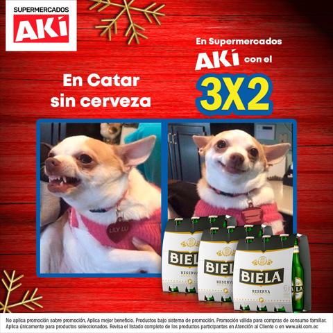Ofertas de Supermercados en Riobamba | Catálogo Aki de Akí | 8/12/2022 - 4/1/2023