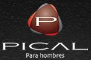 Logo Pical