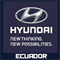 Info y horarios de tienda Hyundai Riobamba en Av. Daniel Leon Borja 40-61 